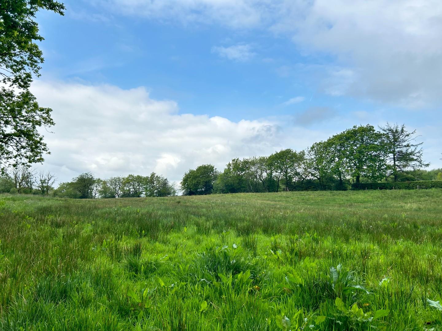 Approximately 8.443 acres of Agricultural Land, Gate Road, Penygroes, Lanelli